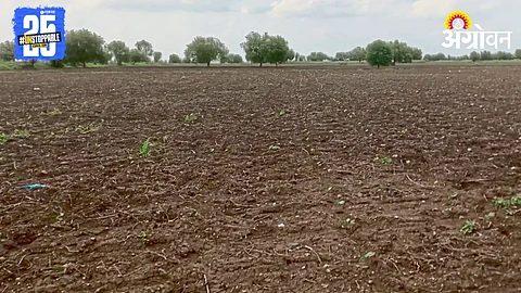 Kharif Sowing