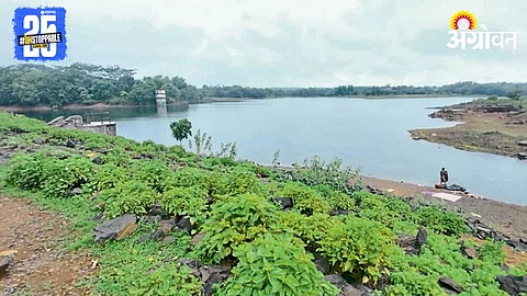 Pimpurna Dam