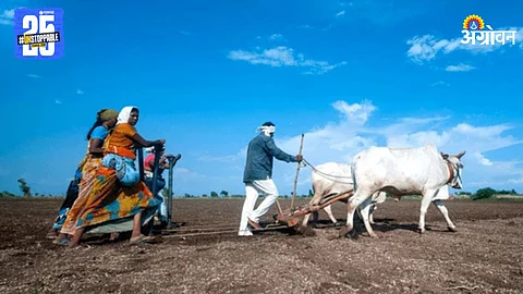 Indian Farmer