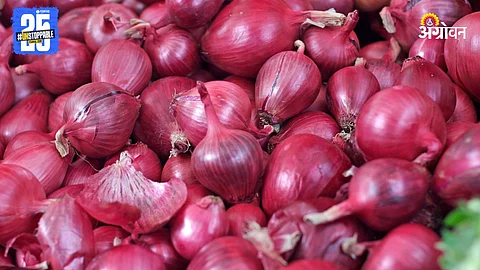 Onion