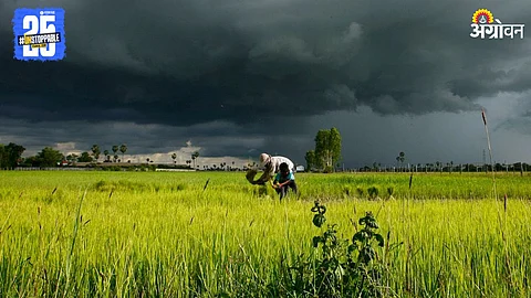 Rain
