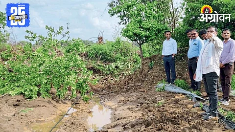 Agriculture Damage