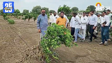 Crop Damage Inspection