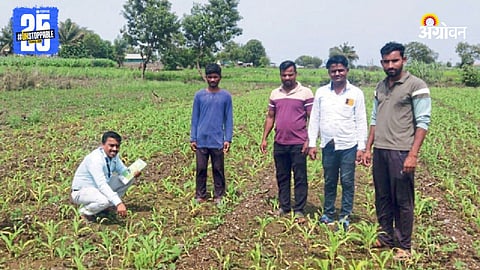 Agriculture Sowing