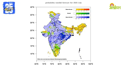 Rain Forecast