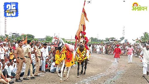 Ashadhi Wari