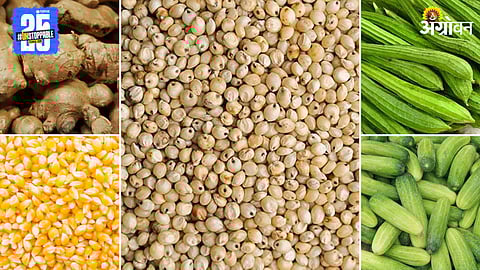 Agriculture Market Products