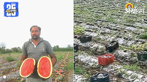 Inspirational Farmer Story