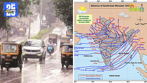 Rain Forecast