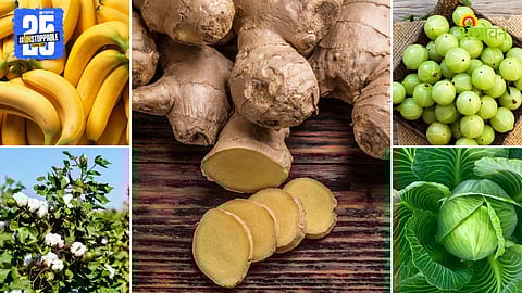 Agriculture Market Products