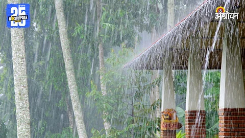 Rain Forecast