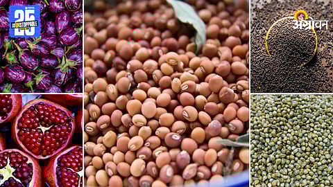 Agriculture Market Products