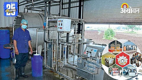 Dairy Business