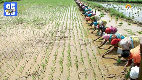 Monsoon Agriculture