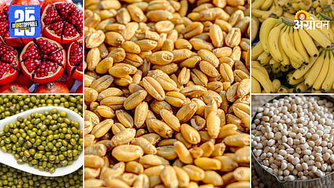 Agriculture Market Produts