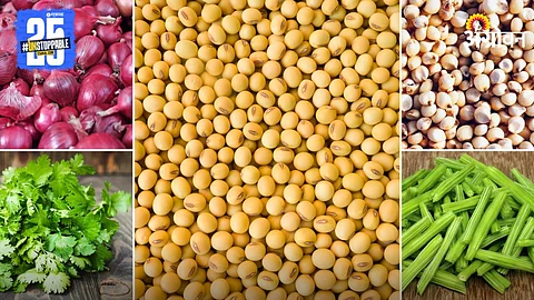Agriculture Market Products