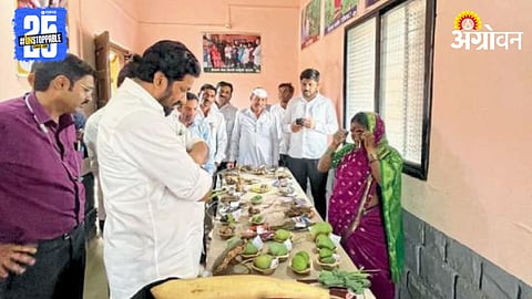 Desi Seed Conservation