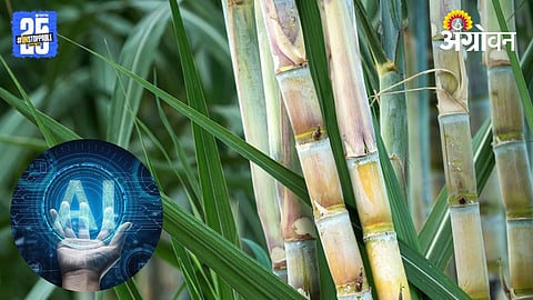 AI in Agriculture