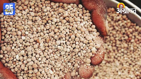 Fertilizer Scam