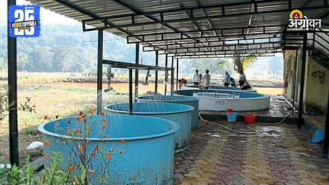 Fish Farming