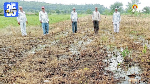Agriculture Issue