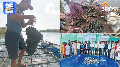 Mangrove Conservation