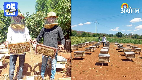 Beekeeping Business