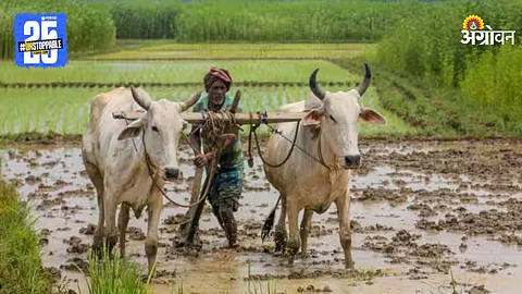 Kharif Season