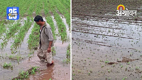 Crop Damage Issue