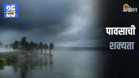 Rain Forecast