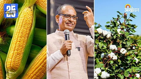 Union Agriculture Minister Shivraj Singh Chouhan