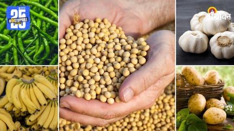 Agriculture Market Products