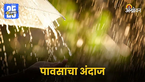 Rain Forecast