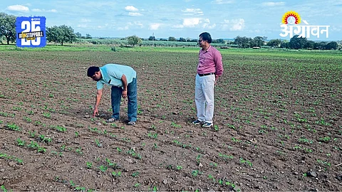 Kharif Rain