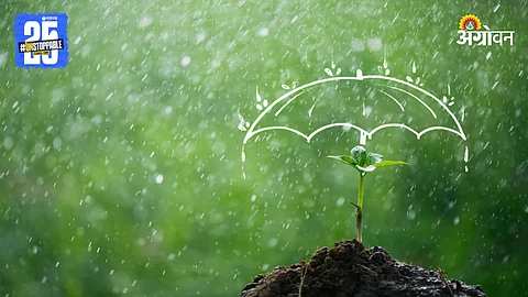 Maharashtra Rain