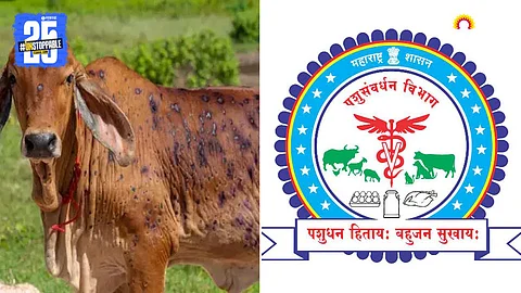 Animal Husbandry Department
