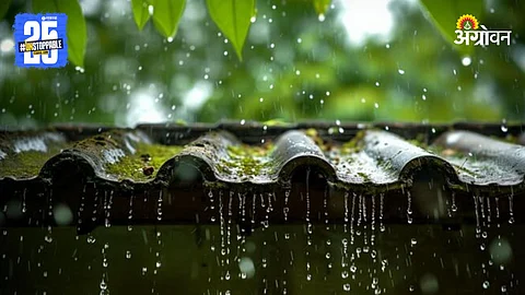 Rain