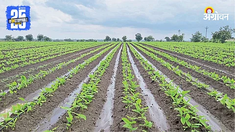 Agriculture