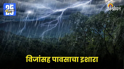 Rain Update