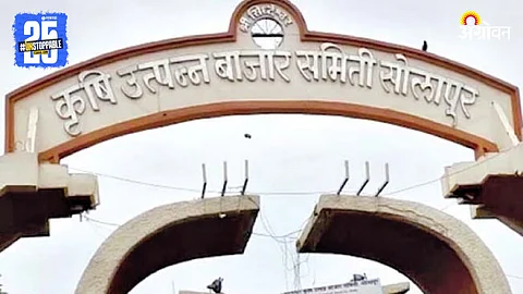 Solapur APMC