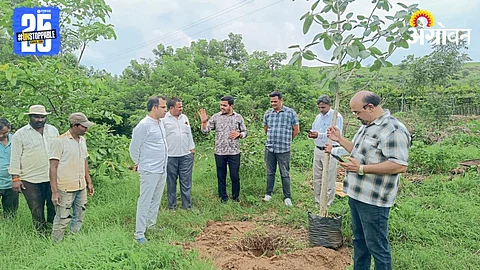 Rural Development
