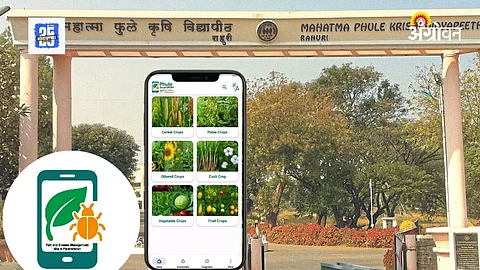 Mobile APP
