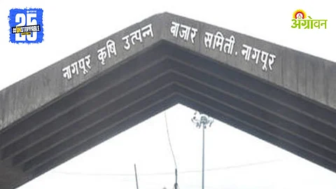 Nagpur APMC
