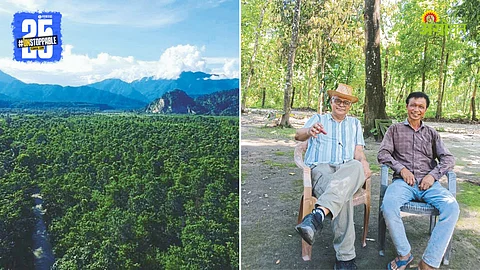 Forest Conservation