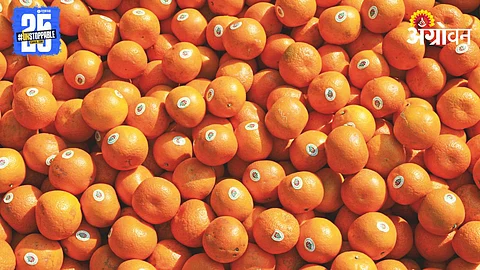 Orange Rate