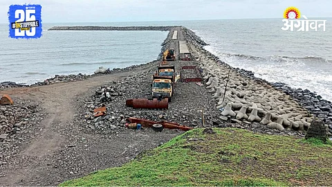 Costal Safety