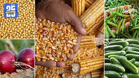 Agriculture Market Products