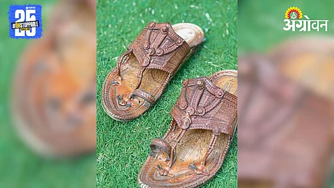 Kolhapur Chappal