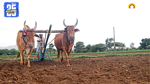 Kharif Sowing