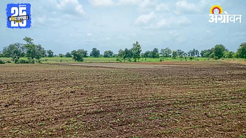 Kharif Sowing